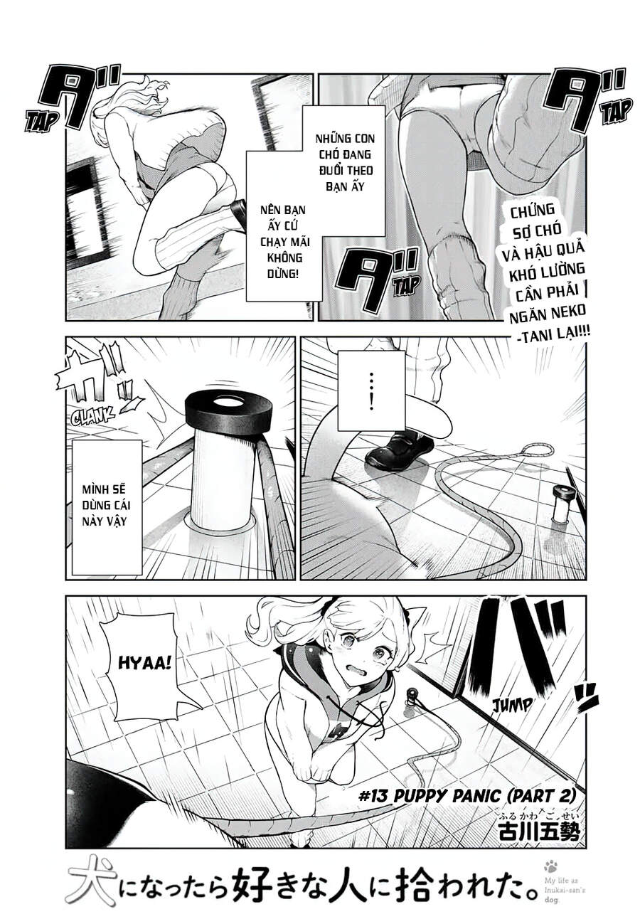Cuộc Sống Khi Là Chó Cưng Của Inukai-San Chapter 13 - 10