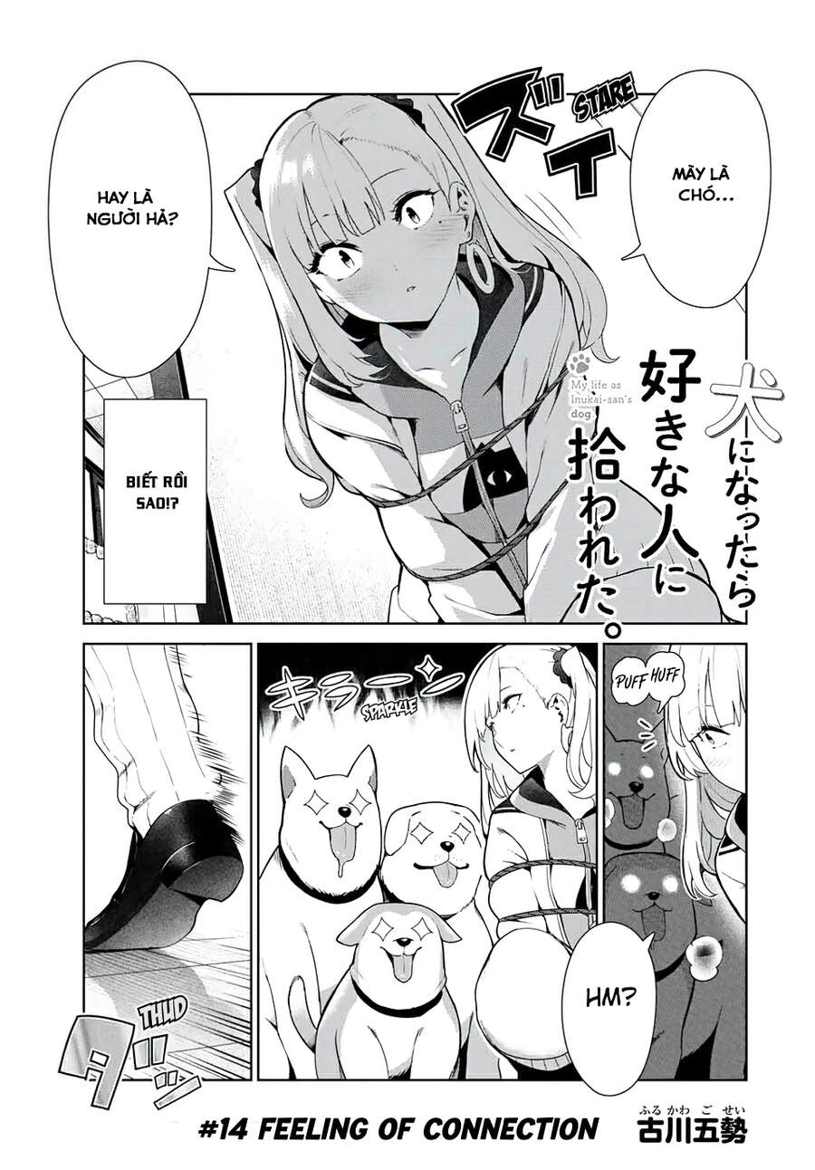 Cuộc Sống Khi Là Chó Cưng Của Inukai-San Chapter 14 - 3
