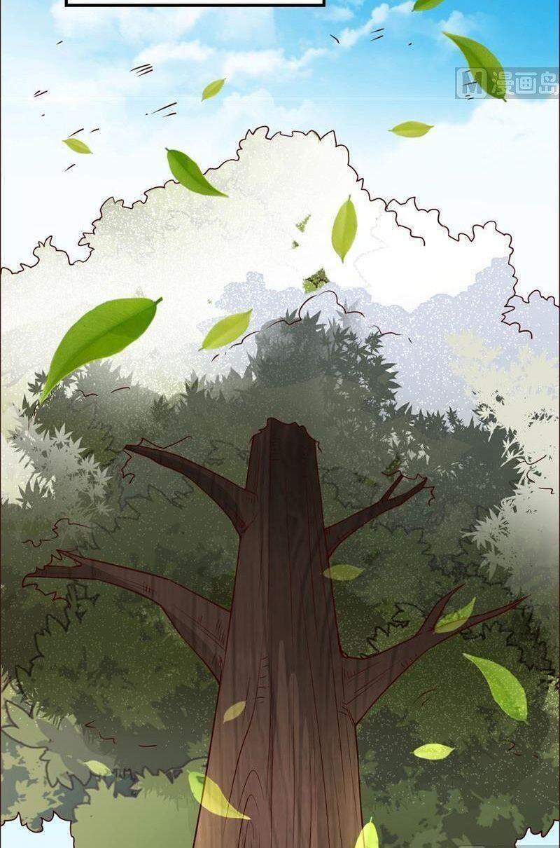 Sống Trên Hoang đảo Cùng Các Em Gái Chapter 121 - 28