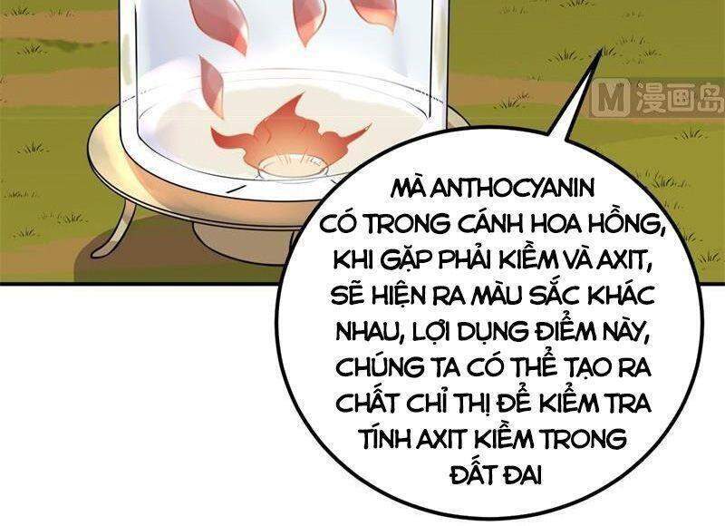 Sống Trên Hoang đảo Cùng Các Em Gái Chapter 138 - 24