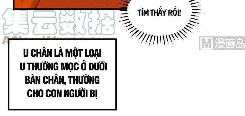 Sống Trên Hoang đảo Cùng Các Em Gái Chapter 165 - 6