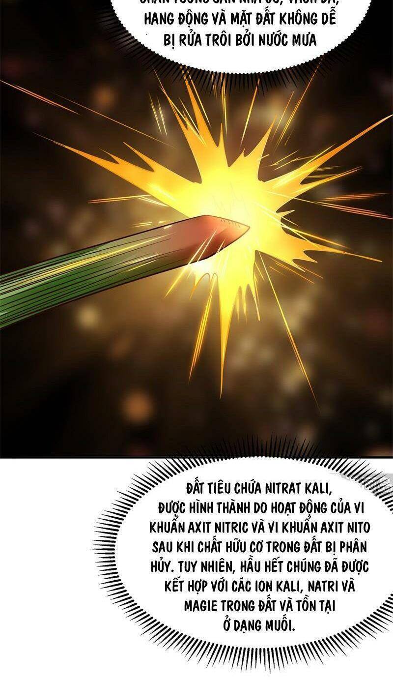 Sống Trên Hoang đảo Cùng Các Em Gái Chapter 58 - 30