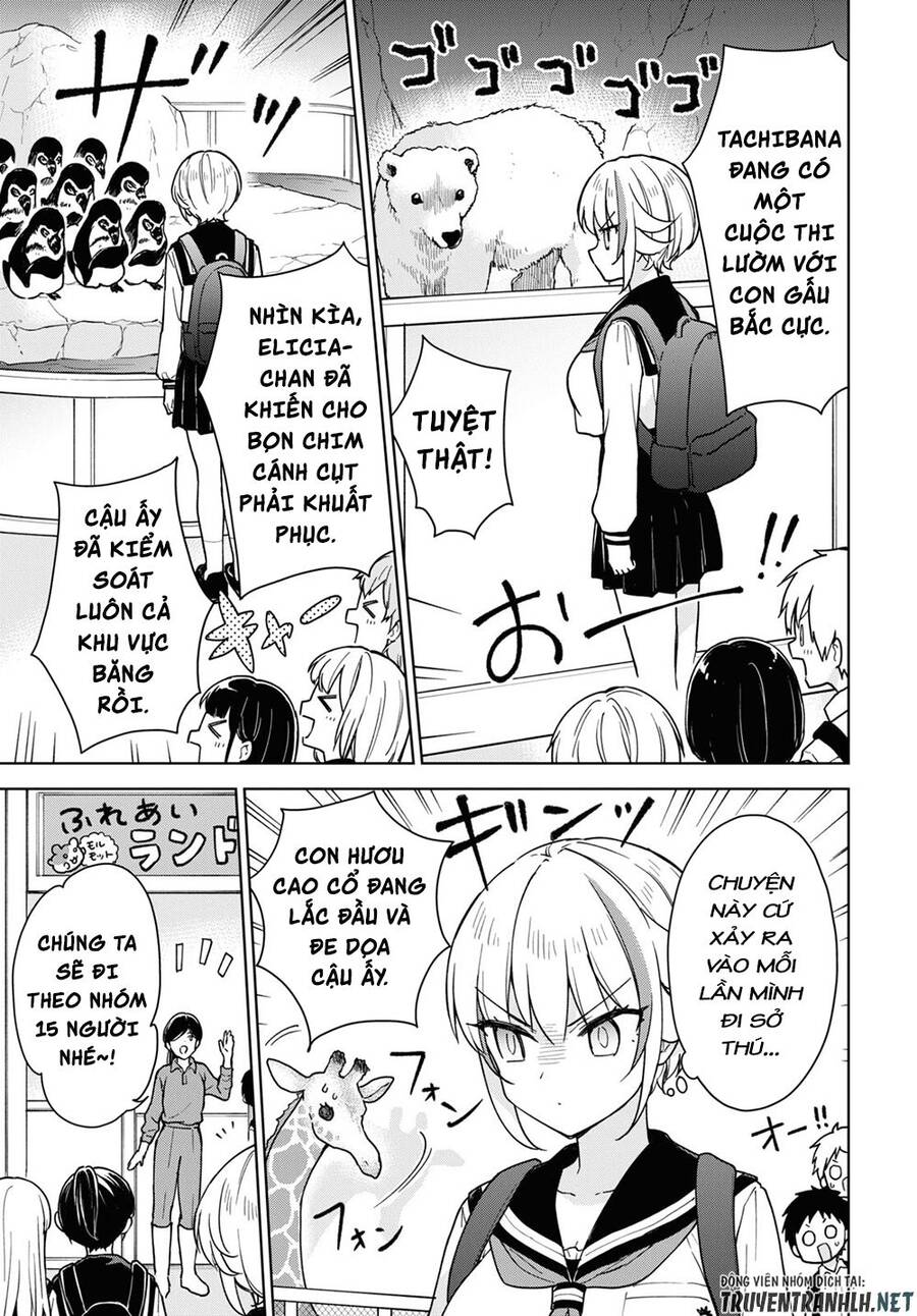 Konna Watashi Ni Kitaishinai De Chapter 14 - 8