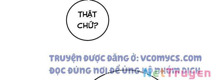 Đừng Chọc Đứa Em Gái Bé Bỏng Của Chúng Tôi Chapter 73 - 52