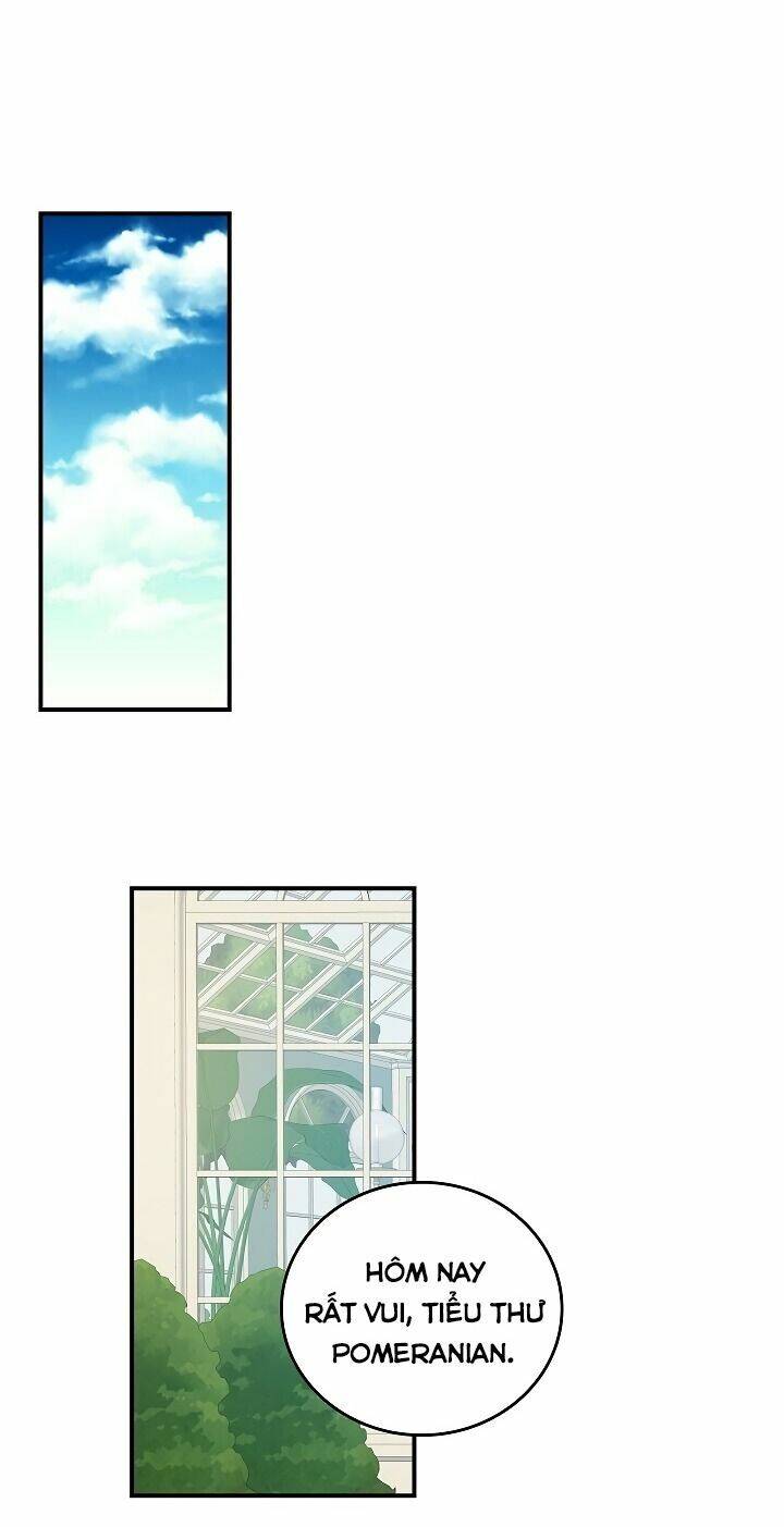 Đừng Chọc Đứa Em Gái Bé Bỏng Của Chúng Tôi Chapter 50 - 26