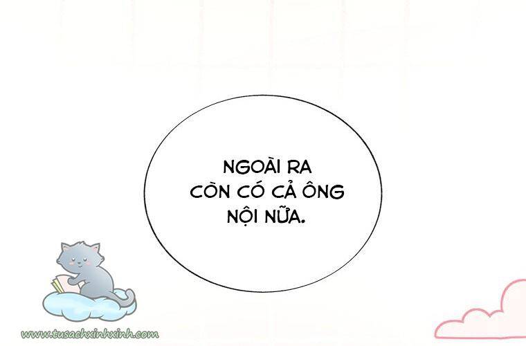 Hẹn Hò Chốn Công Sở Chapter 117 - 35