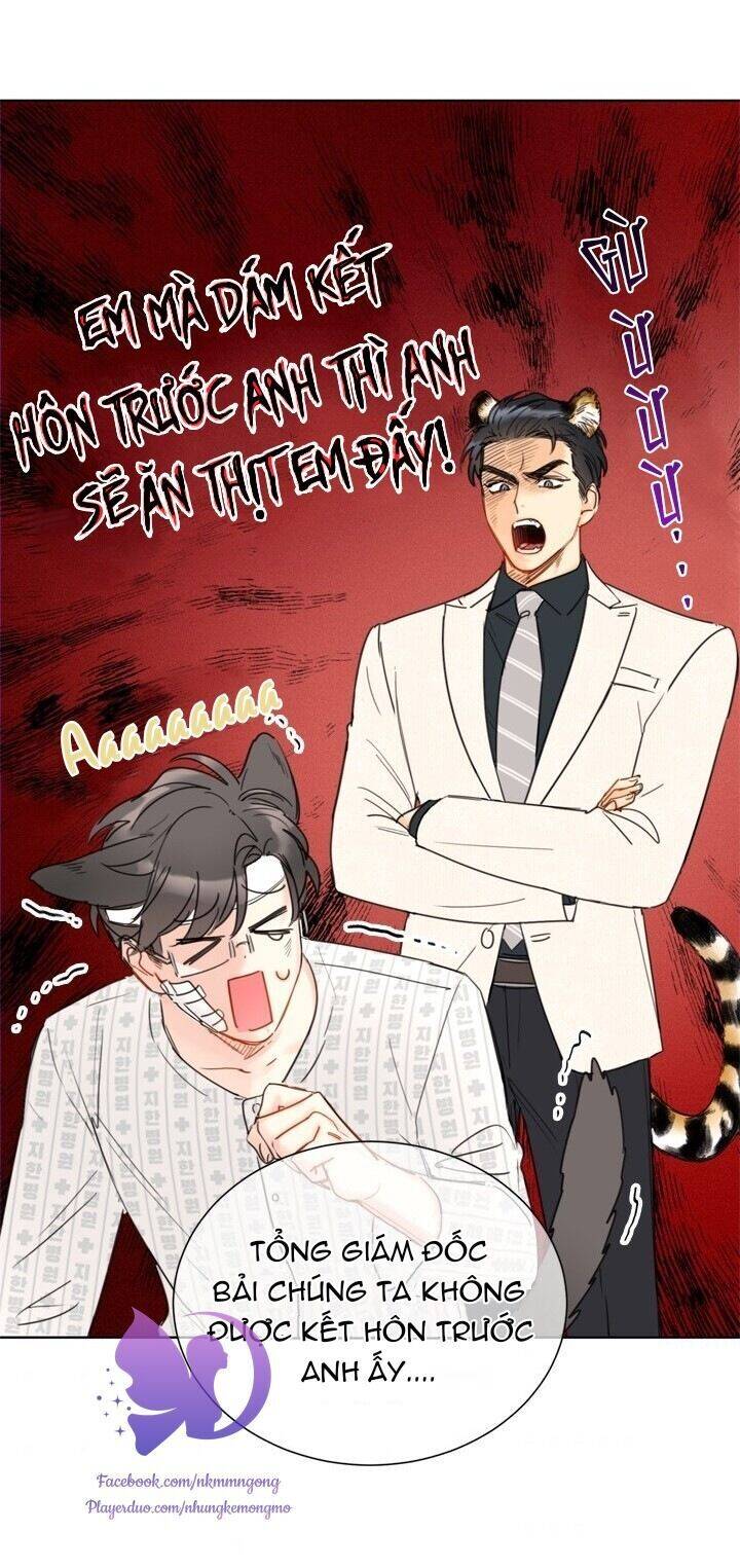 Hẹn Hò Chốn Công Sở Chapter 60 - 36