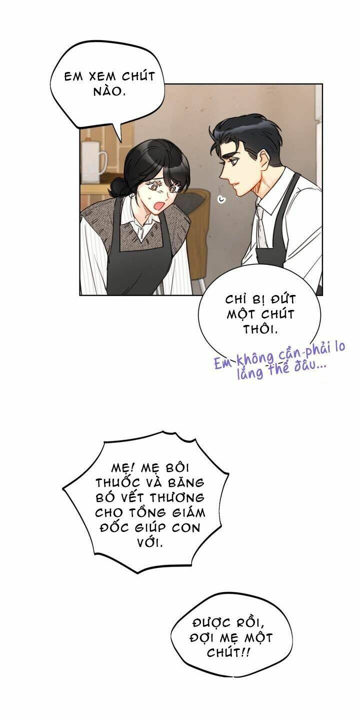 Hẹn Hò Chốn Công Sở Chapter 64 - 25