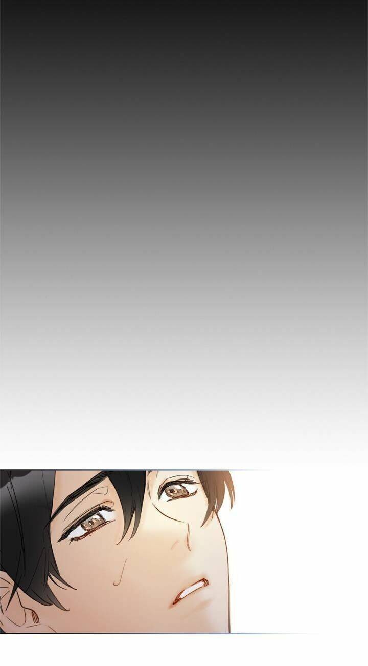 Hẹn Hò Chốn Công Sở Chapter 67 - 68