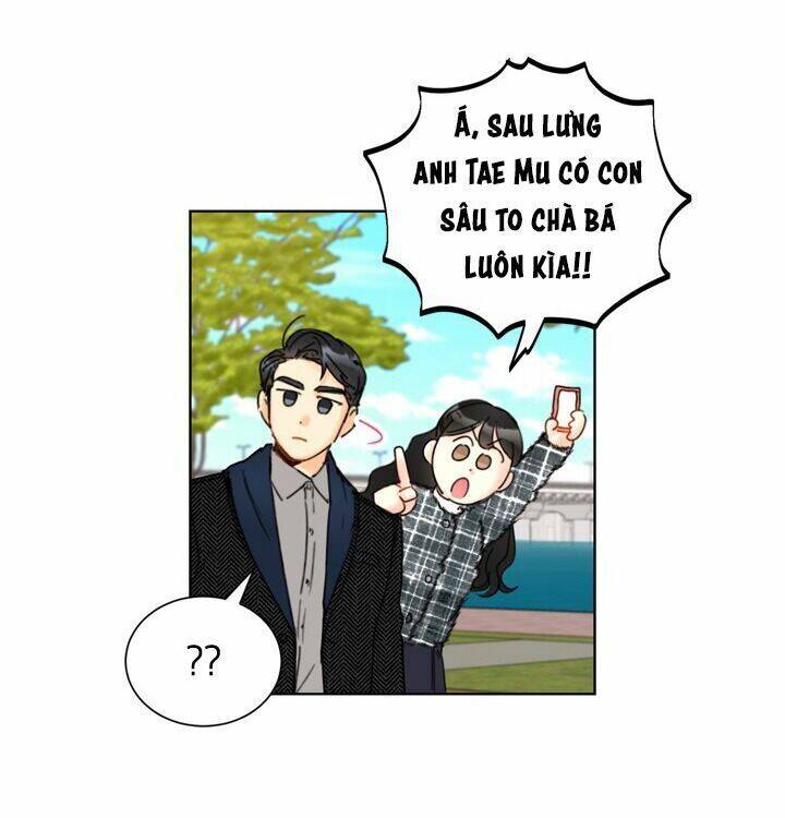 Hẹn Hò Chốn Công Sở Chapter 68 - 43