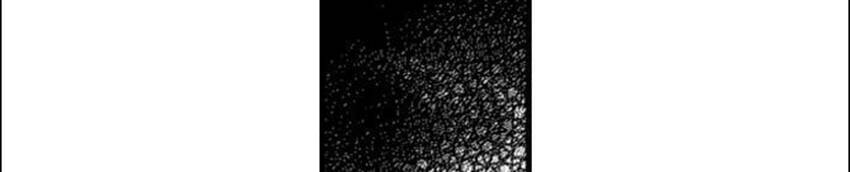 Nụ Hôn Cháy Bỏng Chapter 74 - 14