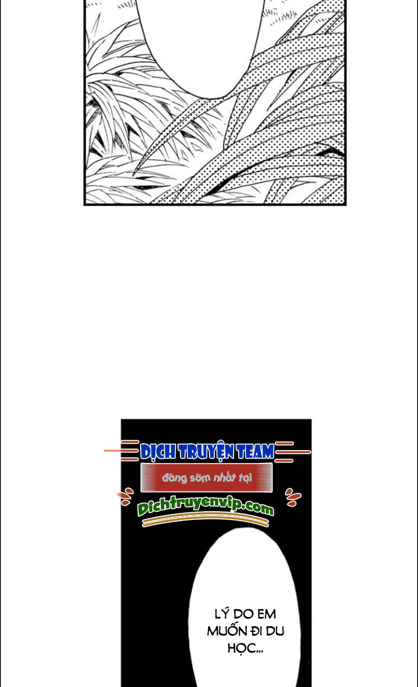 Nụ Hôn Cháy Bỏng Chapter 82 - 22