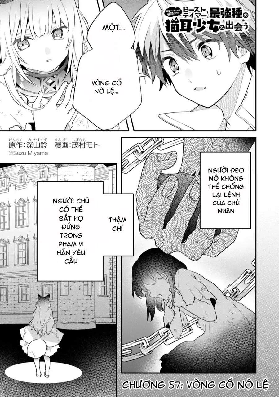 Yuusha Party Wo Tsuihou Sareta Beast Tamer, Saikyou Shuzoku Nekomimi Shojo To Deau Chapter 57 - 4