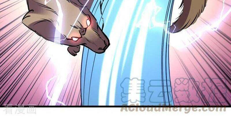 Vào Ngày Tận Thế Nhặt Được Hệ Thống Chapter 135 - 6