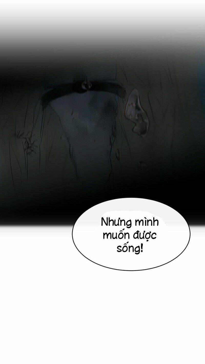 Bản Khế Ước Với Nữ Công Tước Ác Ma Chapter 1 - 49