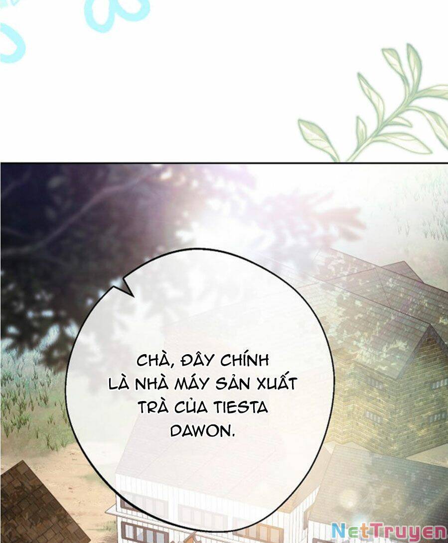 50 Công Thức Pha Trà Của Nữ Công Tước Chapter 129 - 25