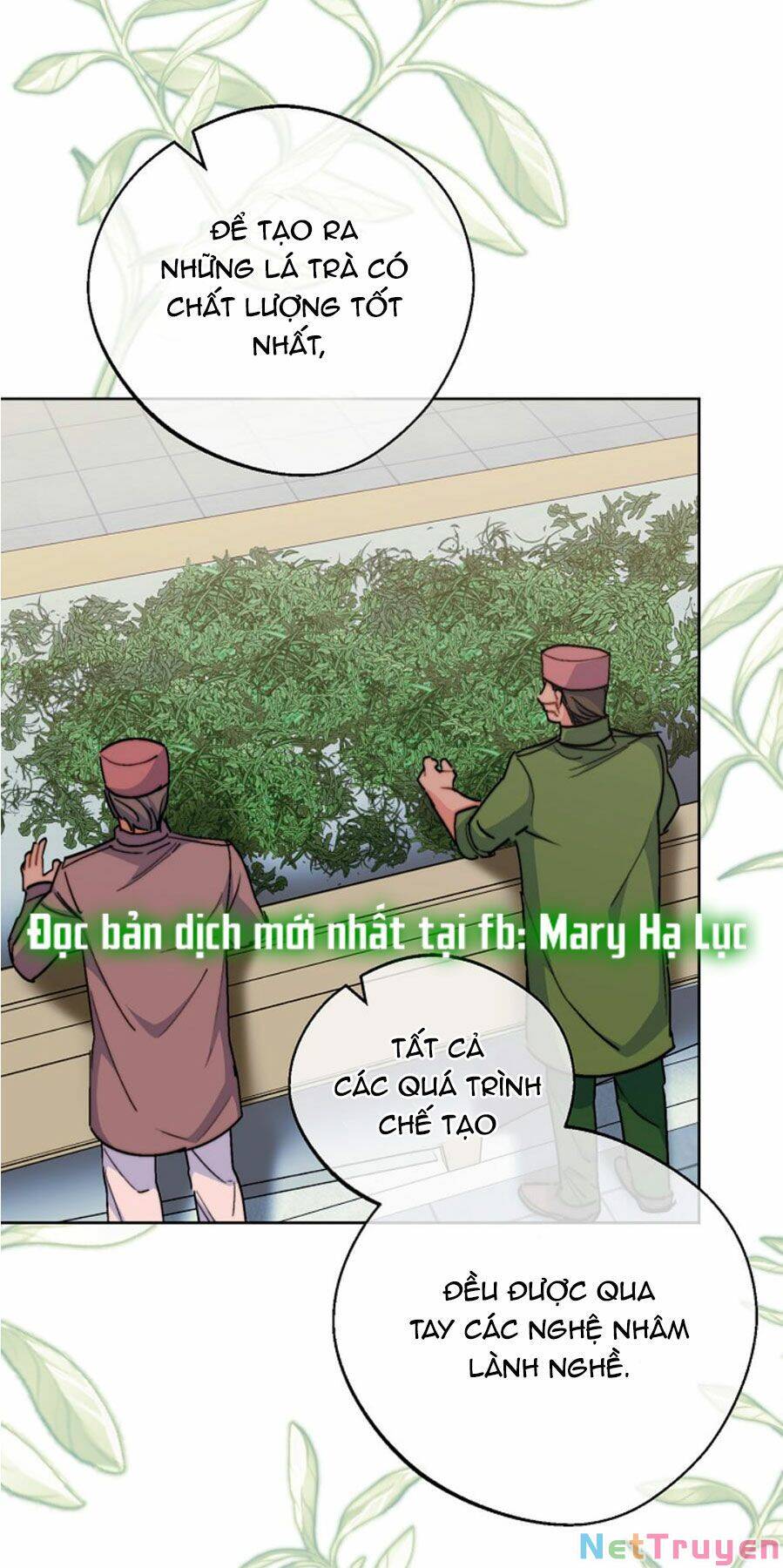 50 Công Thức Pha Trà Của Nữ Công Tước Chapter 129 - 27