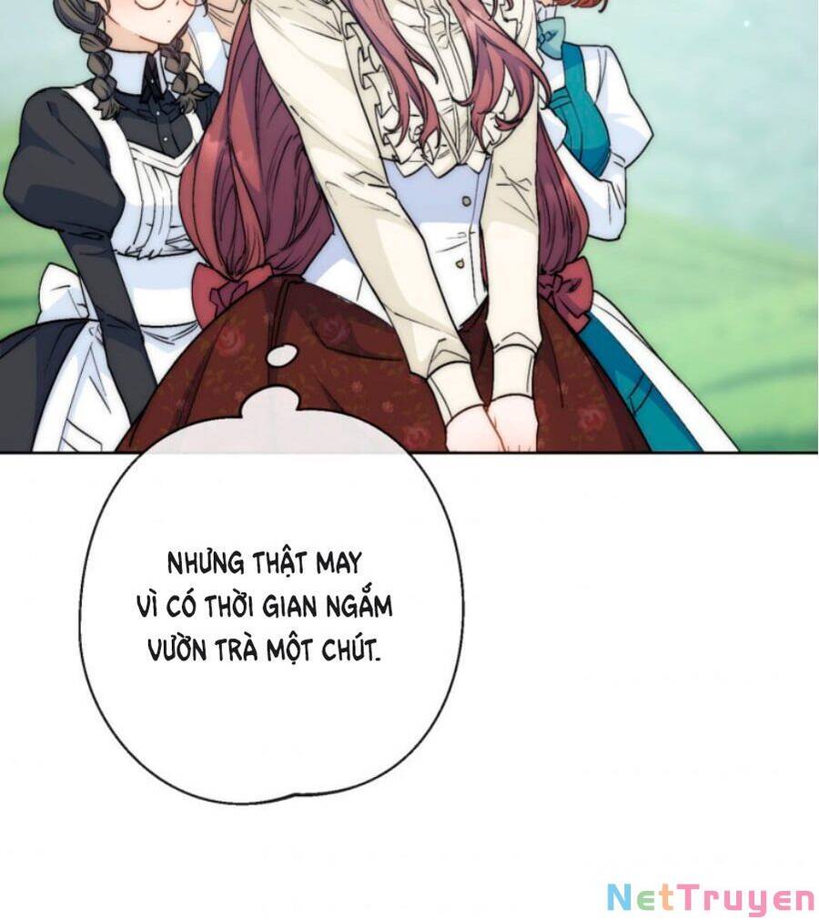 50 Công Thức Pha Trà Của Nữ Công Tước Chapter 130 - 4
