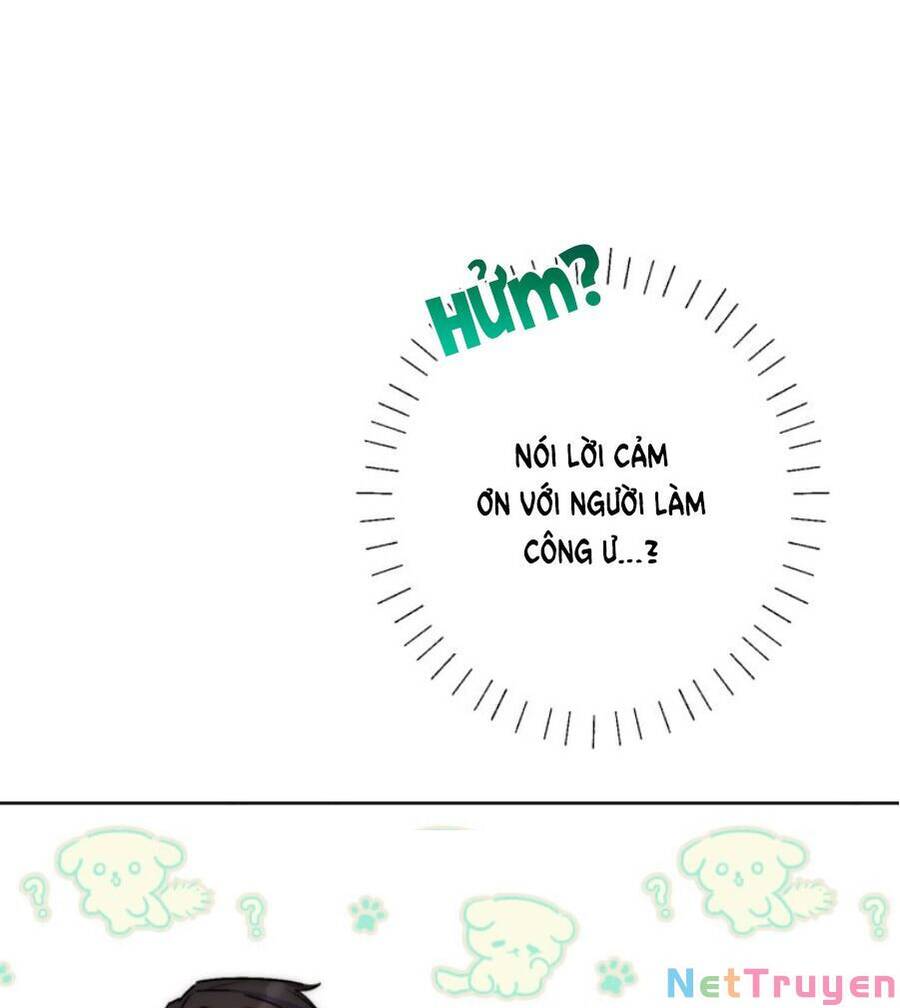 50 Công Thức Pha Trà Của Nữ Công Tước Chapter 130 - 36