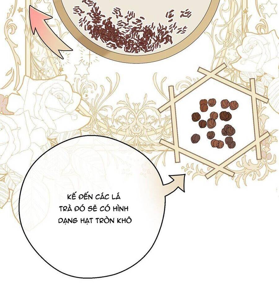 50 Công Thức Pha Trà Của Nữ Công Tước Chapter 119 - 13