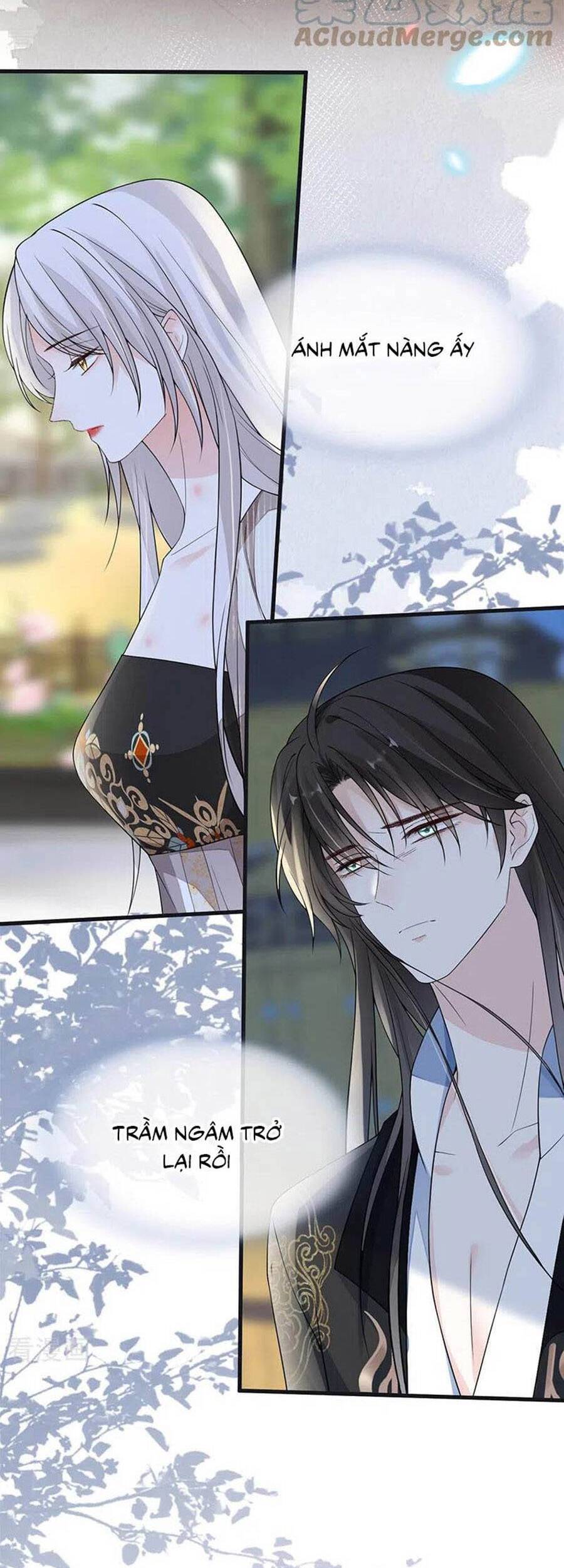 Thái Hậu Quân Hạ Thần Chapter 126 - 11