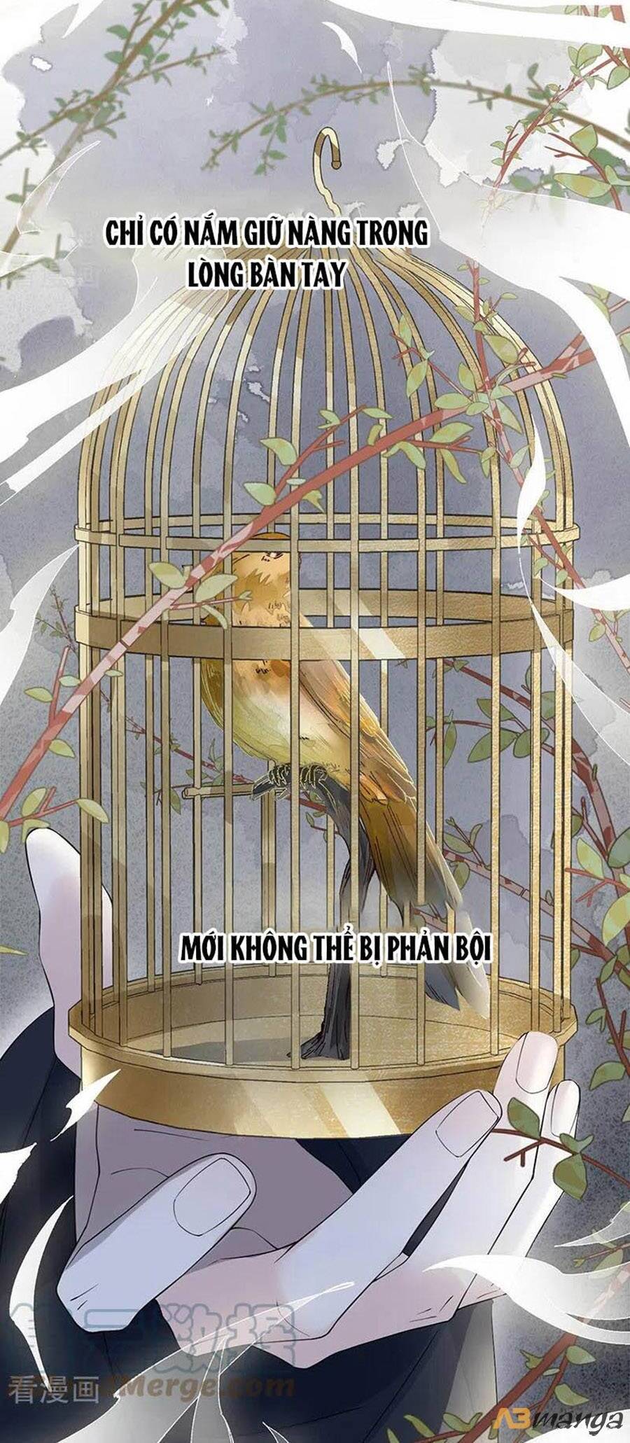 Thái Hậu Quân Hạ Thần Chapter 126 - 6