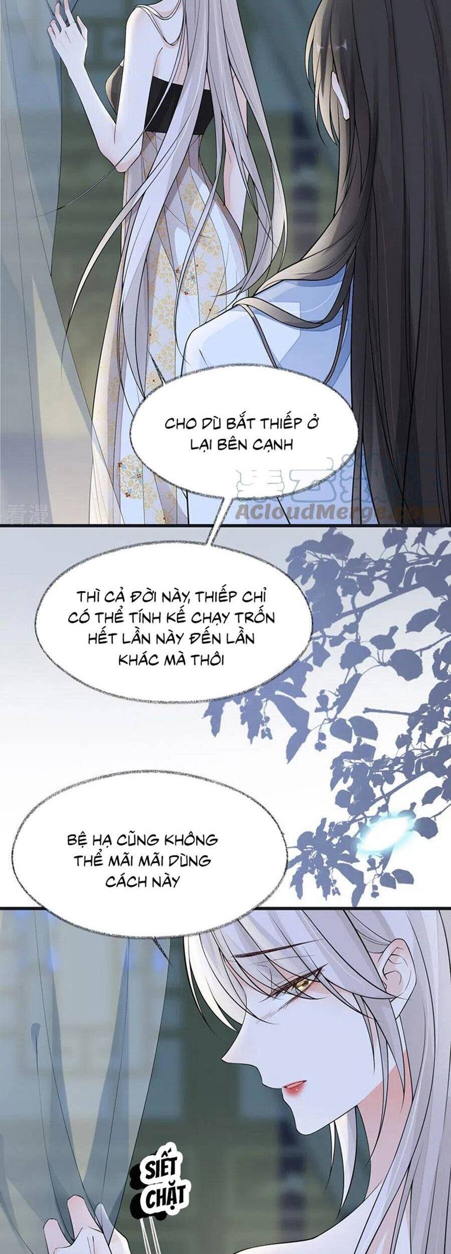 Thái Hậu Quân Hạ Thần Chapter 131 - 11