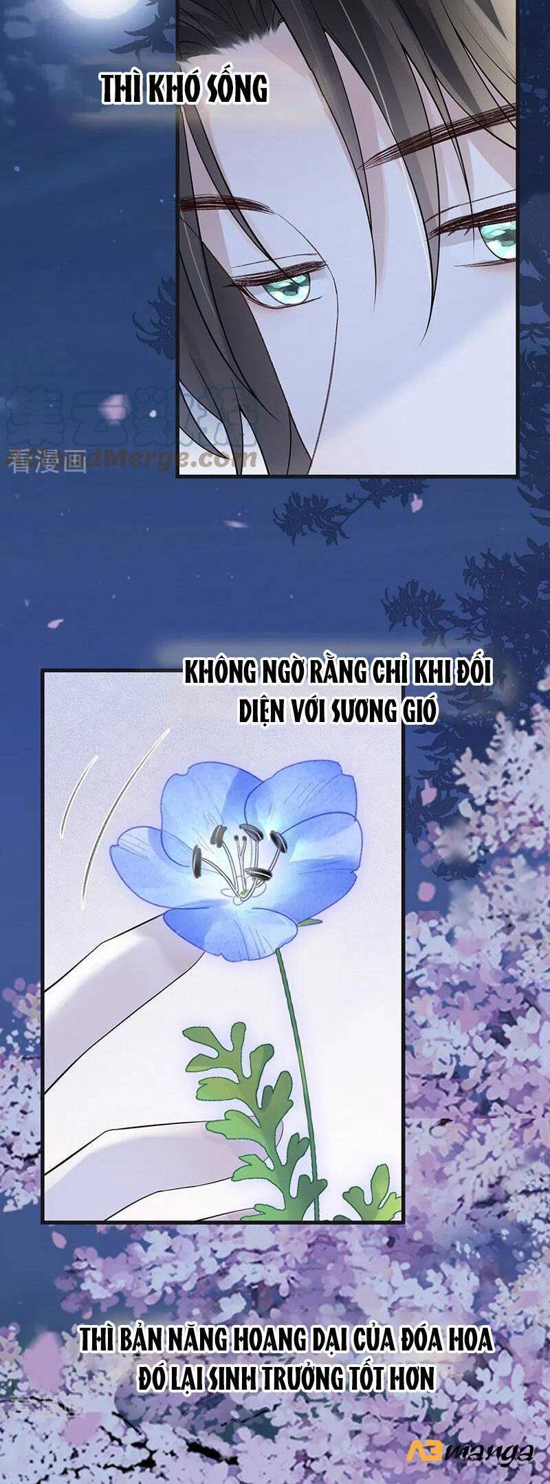 Thái Hậu Quân Hạ Thần Chapter 132 - 28