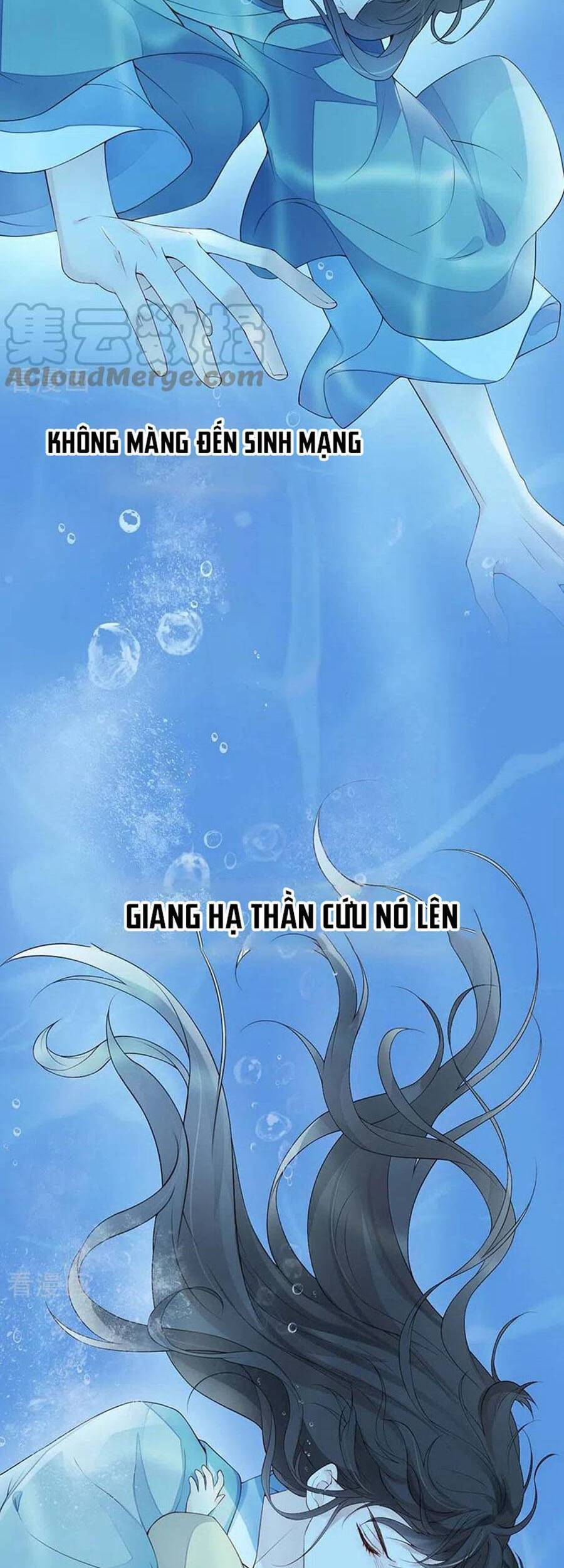 Thái Hậu Quân Hạ Thần Chapter 145 - 28