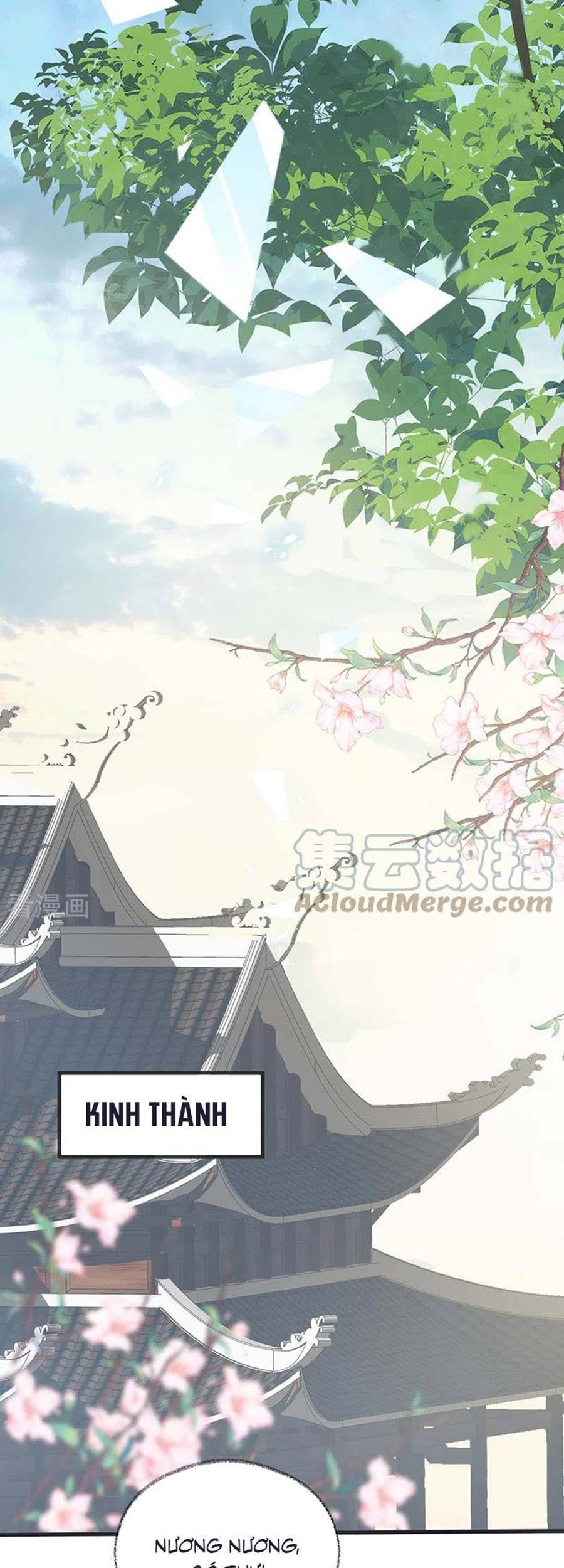 Thái Hậu Quân Hạ Thần Chapter 147 - 26