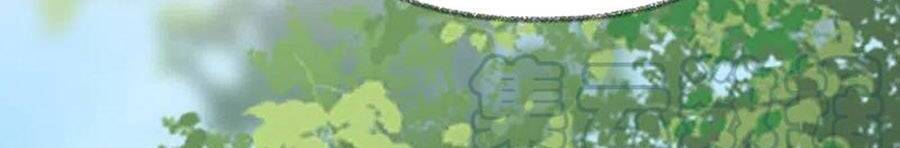 Thái Hậu Quân Hạ Thần Chapter 148 - 20