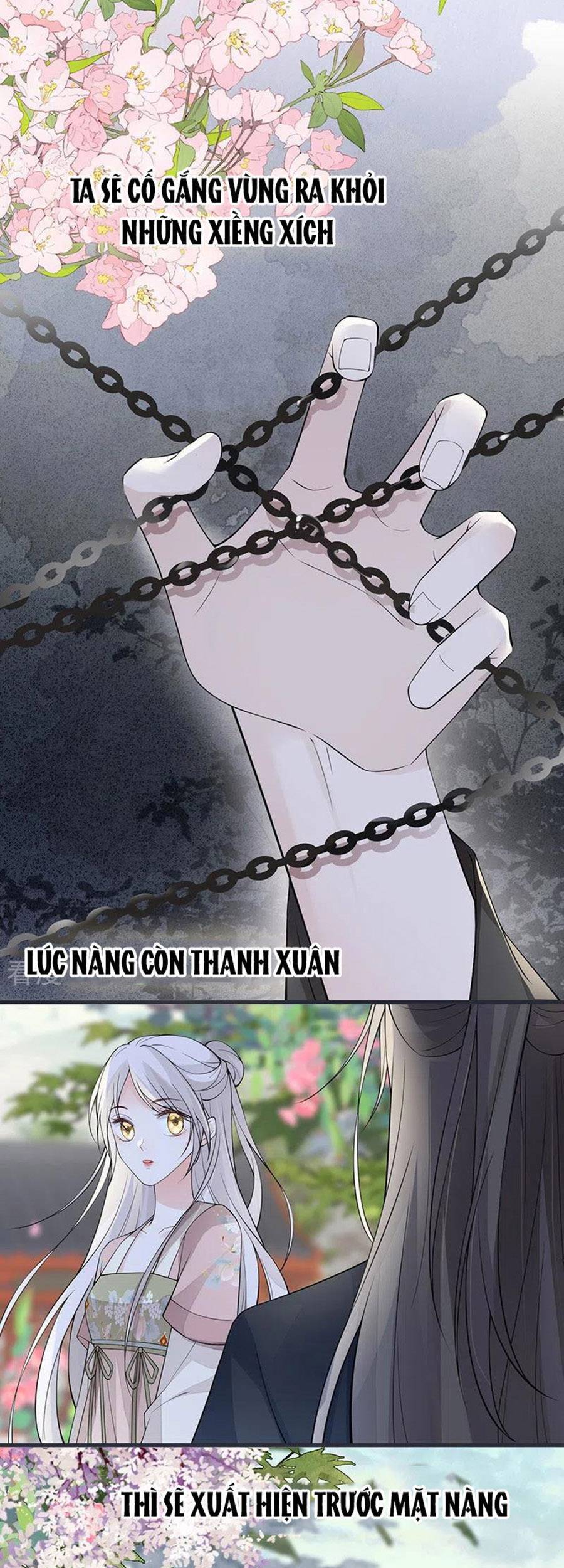 Thái Hậu Quân Hạ Thần Chapter 149 - 11