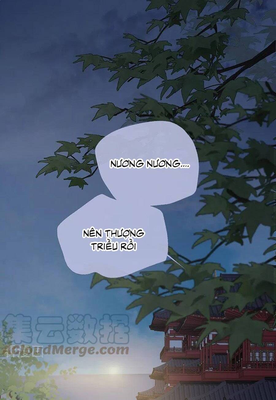 Thái Hậu Quân Hạ Thần Chapter 170 - 6