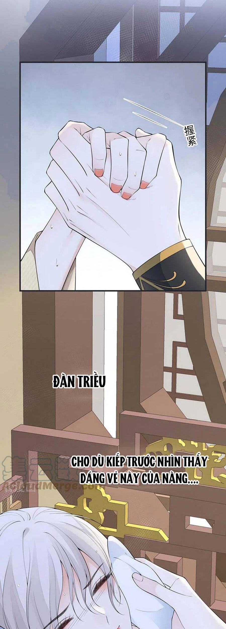Thái Hậu Quân Hạ Thần Chapter 174 - 24