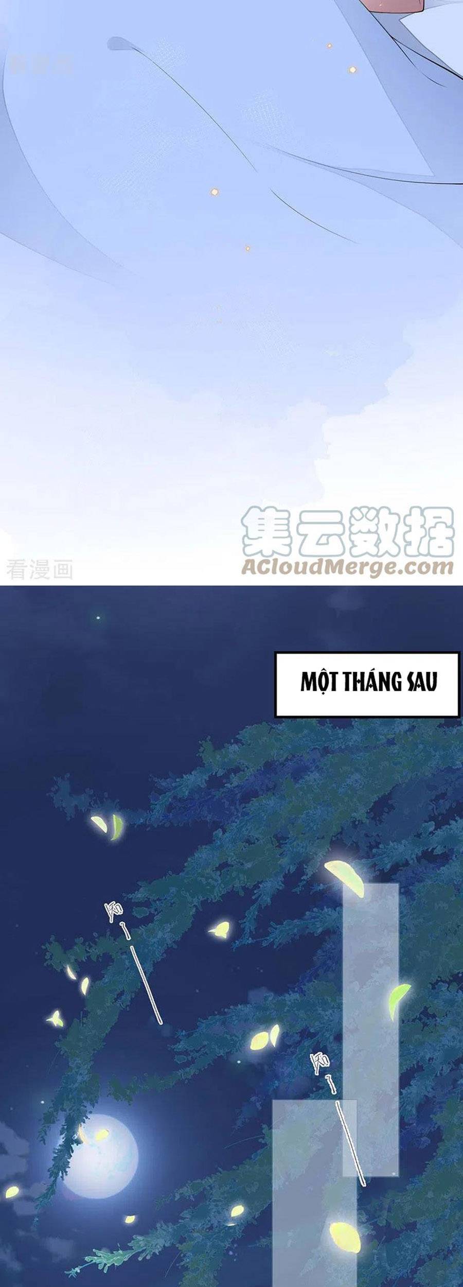 Thái Hậu Quân Hạ Thần Chapter 175 - 17