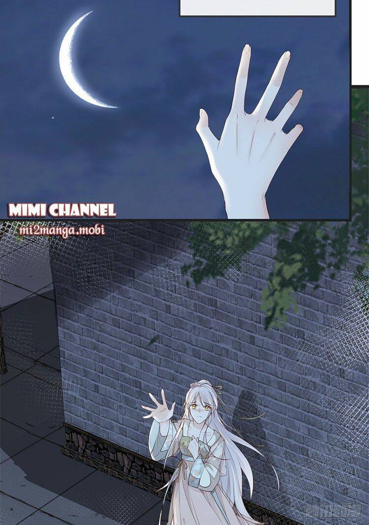 Thái Hậu Quân Hạ Thần Chapter 39 - 11