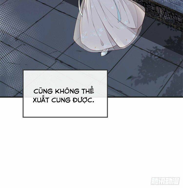 Thái Hậu Quân Hạ Thần Chapter 39 - 12