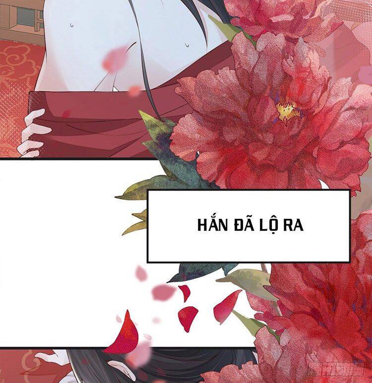 Thái Hậu Quân Hạ Thần Chapter 40 - 29