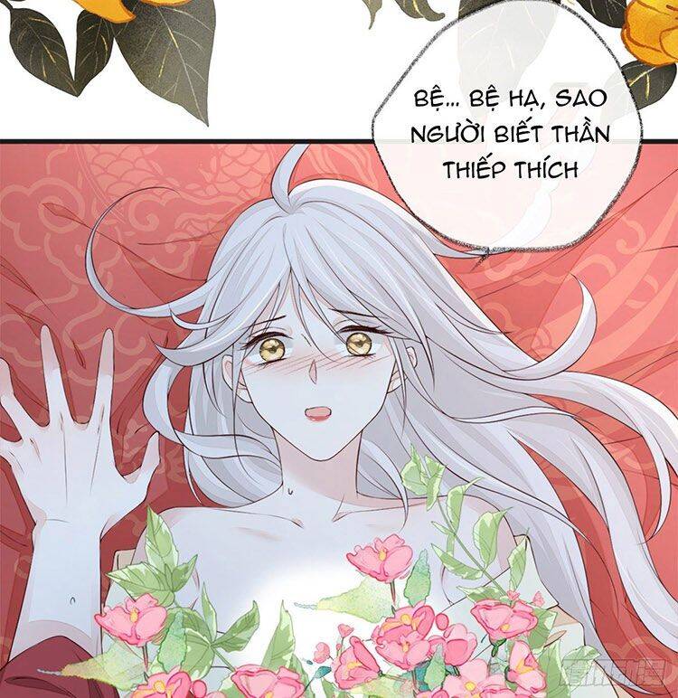 Thái Hậu Quân Hạ Thần Chapter 40 - 33