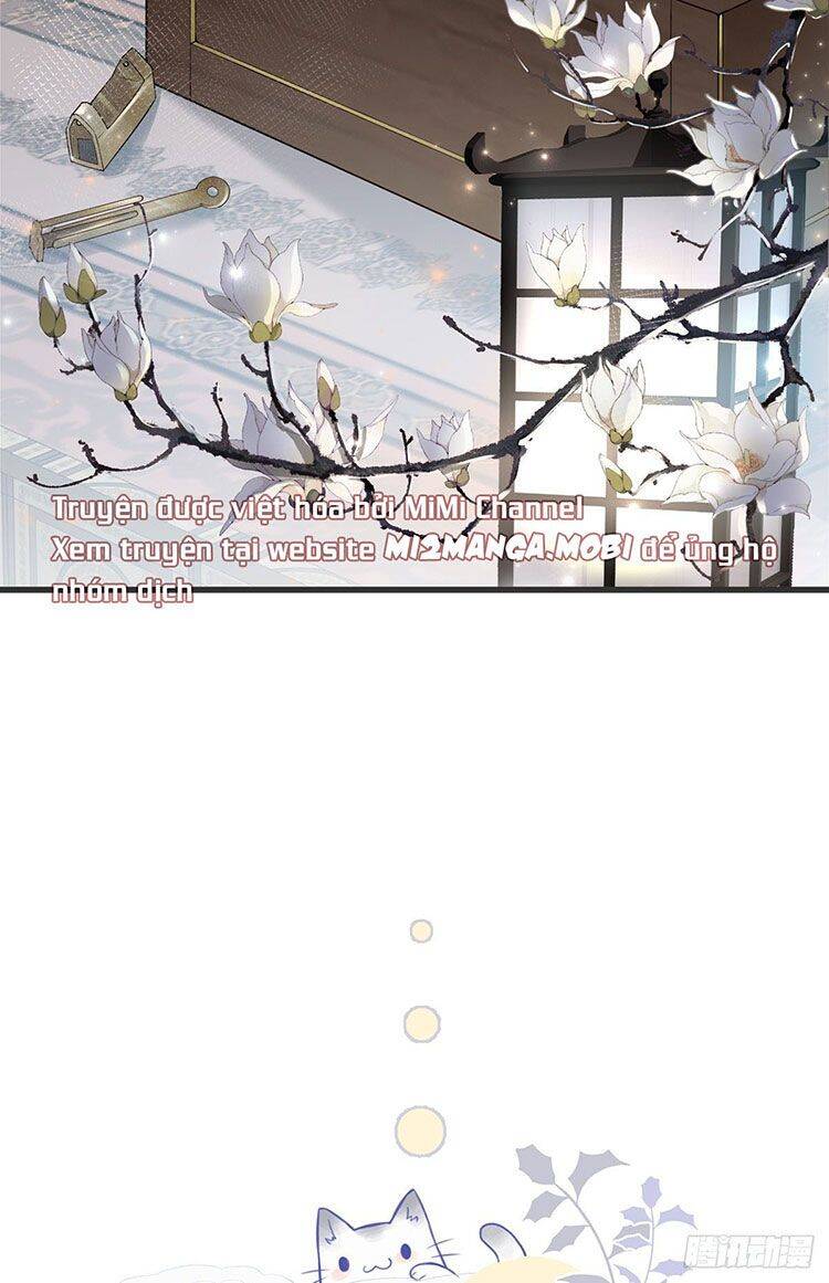 Thái Hậu Quân Hạ Thần Chapter 41 - 37