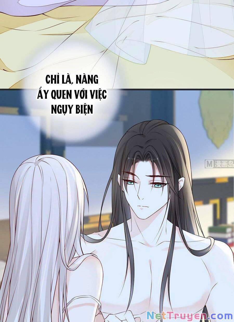 Thái Hậu Quân Hạ Thần Chapter 56 - 21