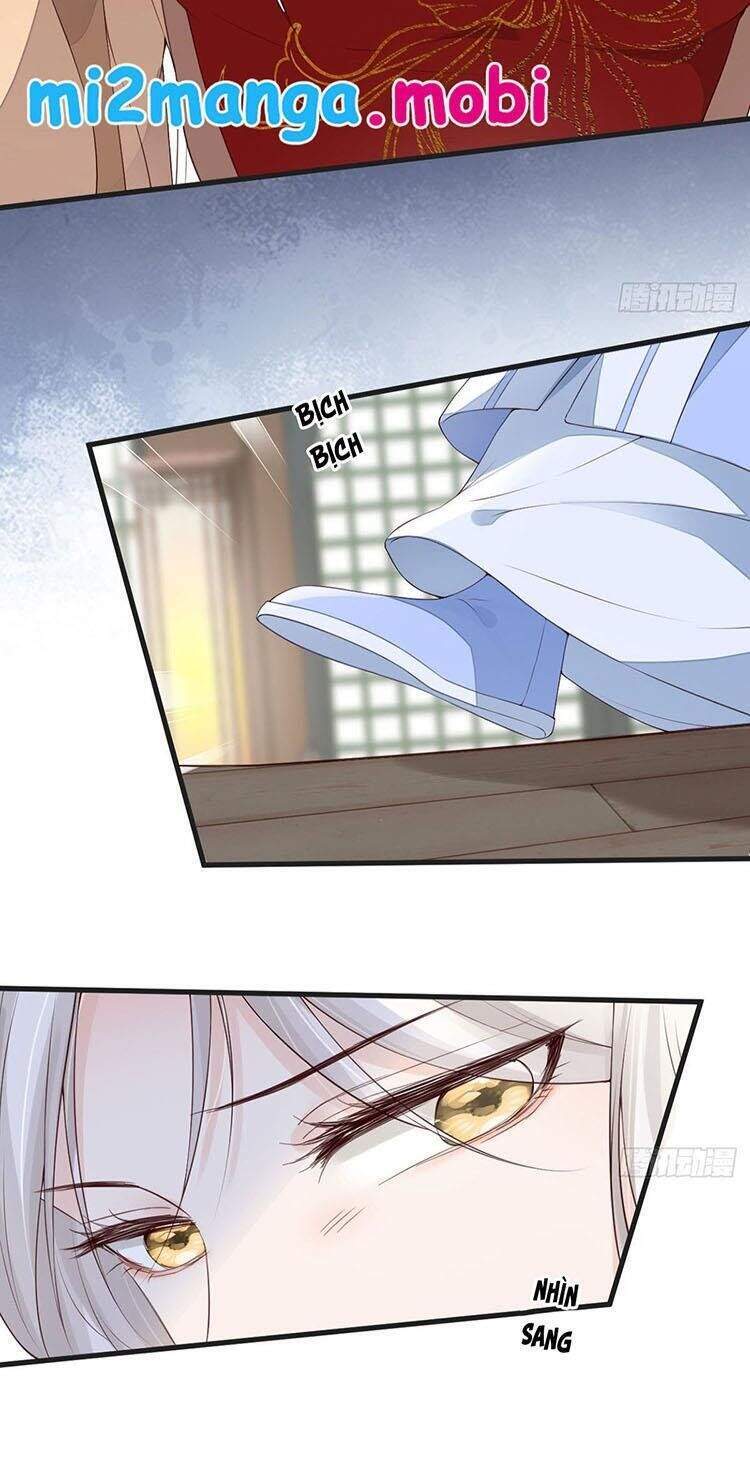 Thái Hậu Quân Hạ Thần Chapter 81 - 16