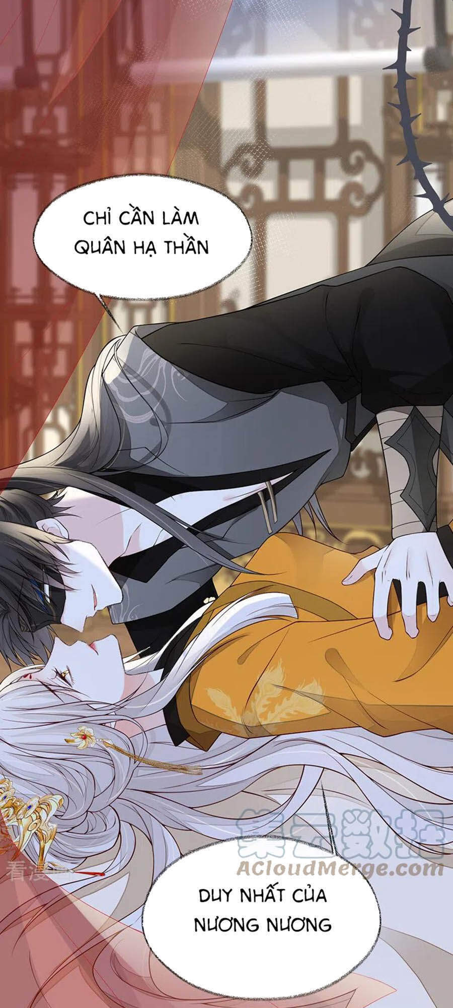 Thái Hậu Quân Hạ Thần Chapter 101 - 12