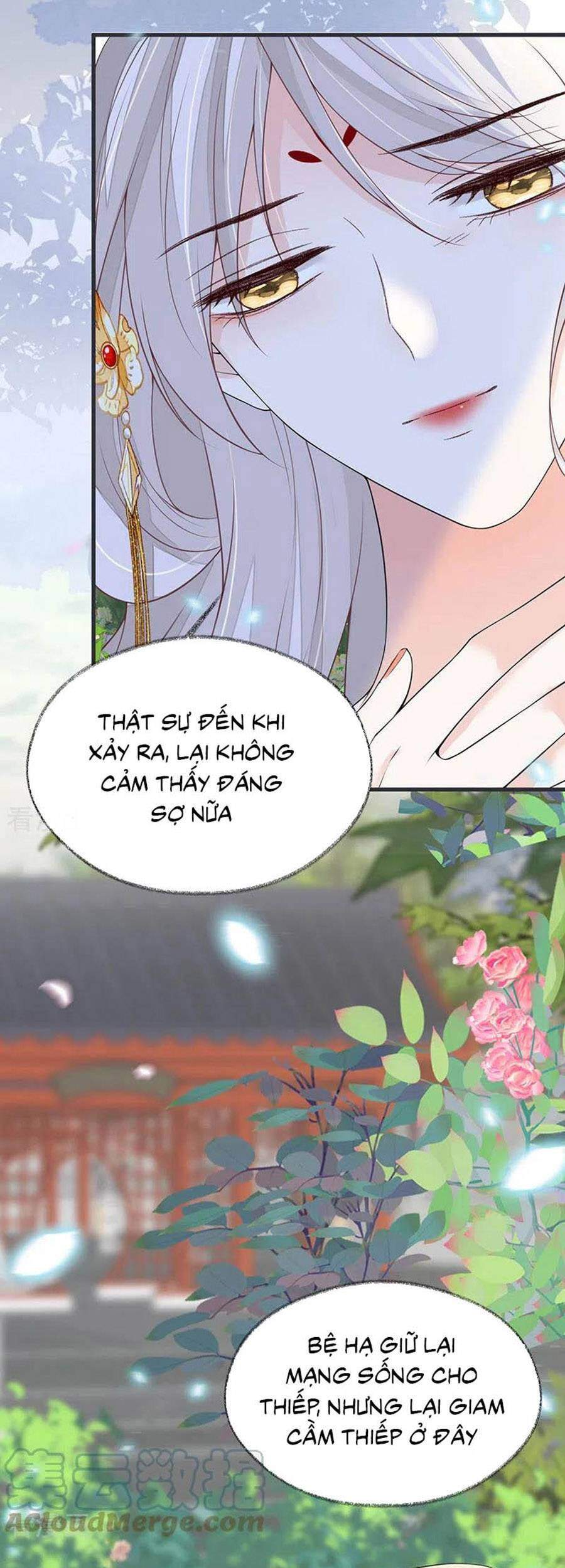 Thái Hậu Quân Hạ Thần Chapter 107 - 11