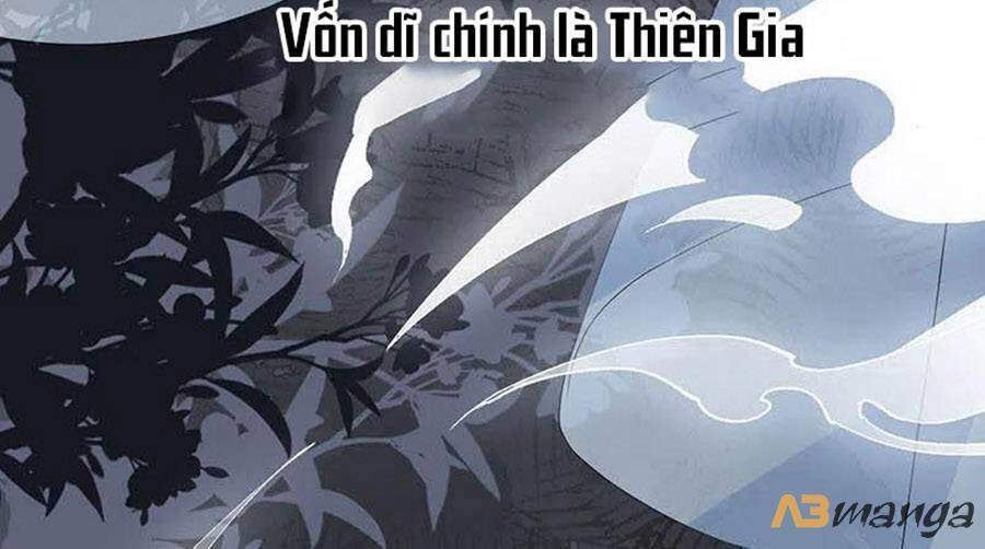 Thái Hậu Quân Hạ Thần Chapter 108 - 7