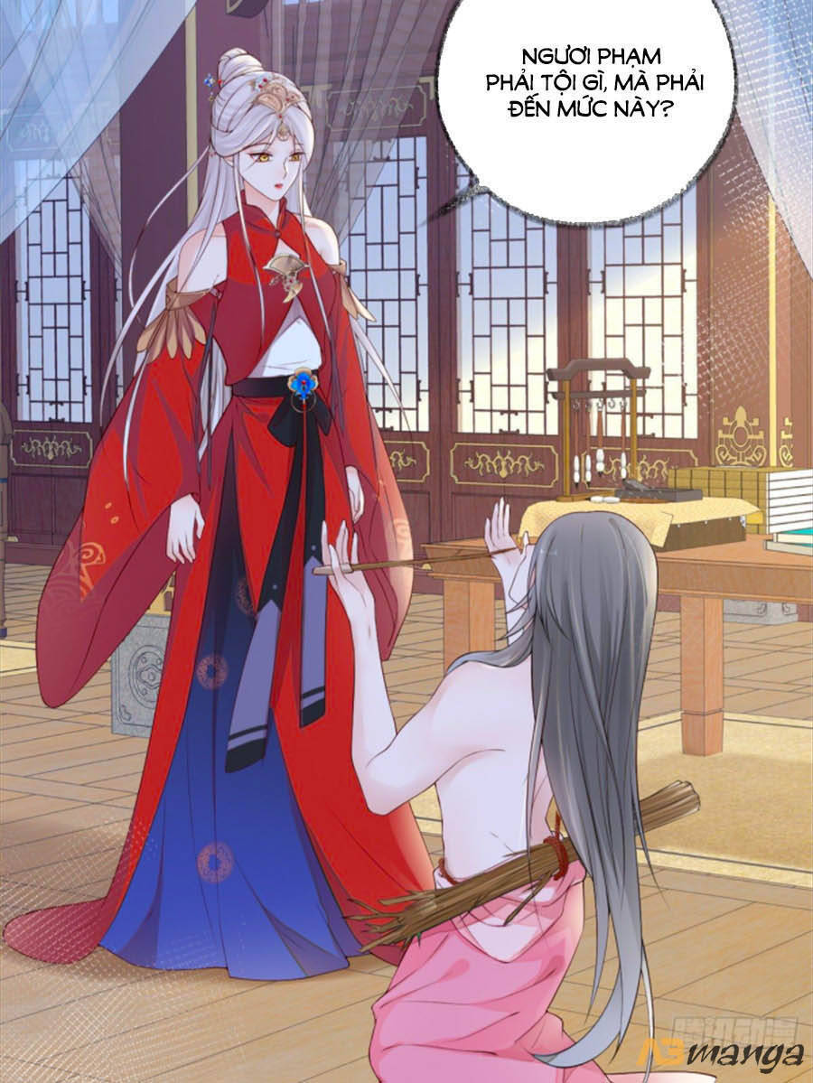 Thái Hậu Quân Hạ Thần Chapter 43 - 23