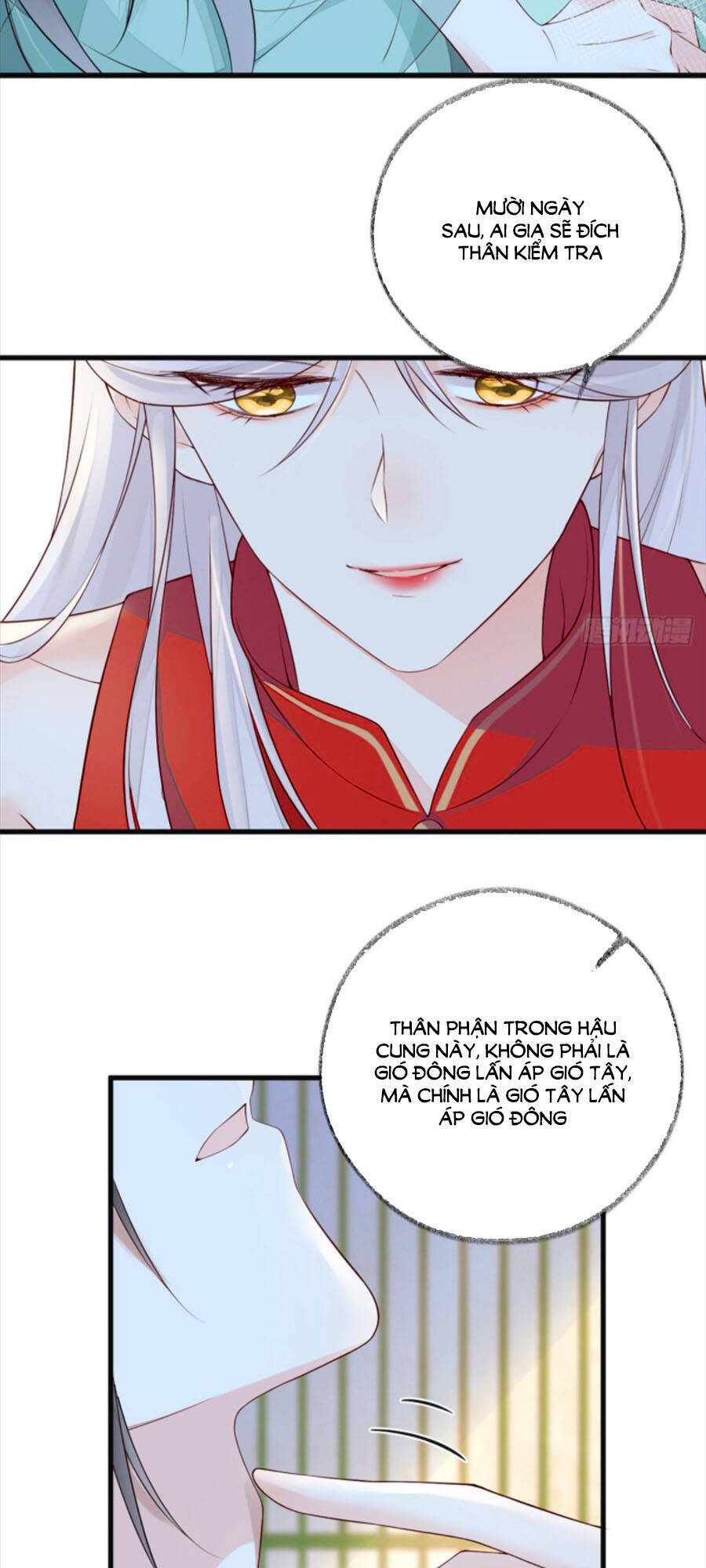 Thái Hậu Quân Hạ Thần Chapter 47 - 15