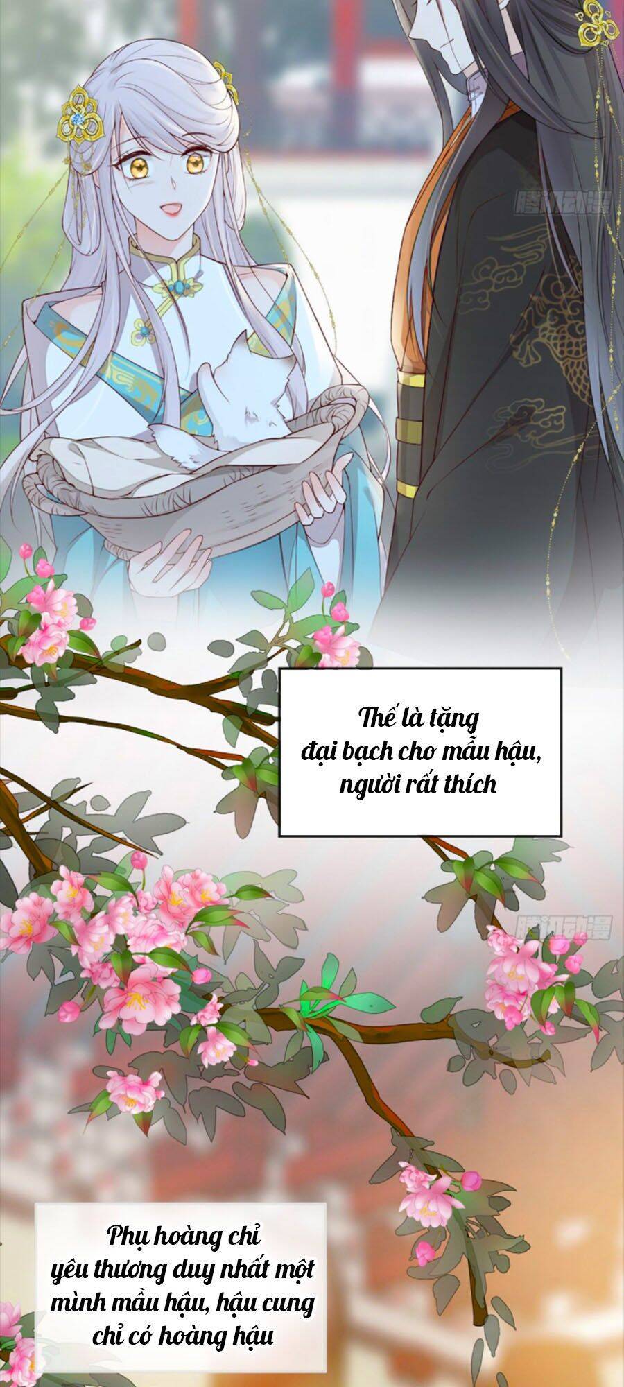 Thái Hậu Quân Hạ Thần Chapter 49 - 12