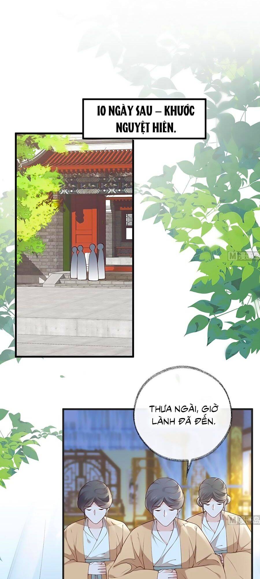 Thái Hậu Quân Hạ Thần Chapter 51 - 1