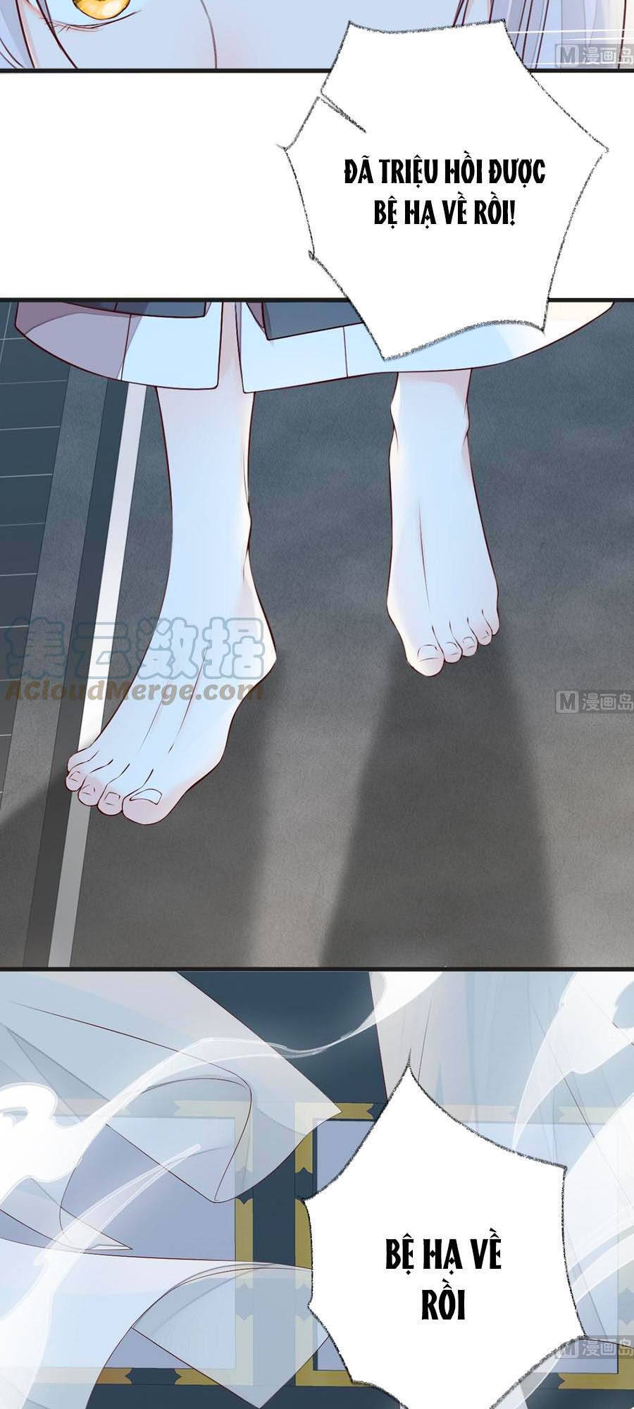 Thái Hậu Quân Hạ Thần Chapter 52 - 11